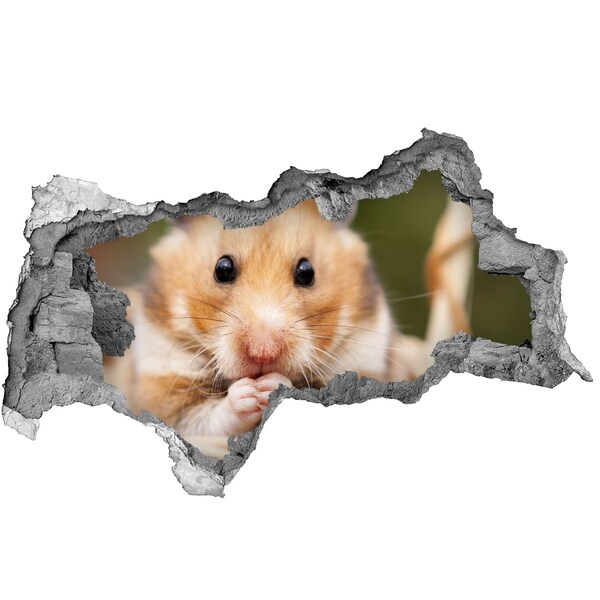 Hole in the wall sticker Hamster in a transparent hole in the wall