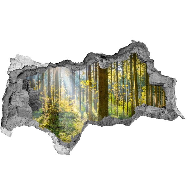 Hole in the wall sticker Forest oasis of light