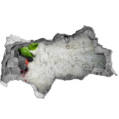 Hole wall sticker A ruined wall with a view of the sky