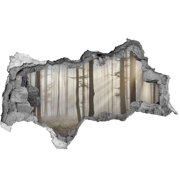 Hole wall sticker Misty forest in the morning light