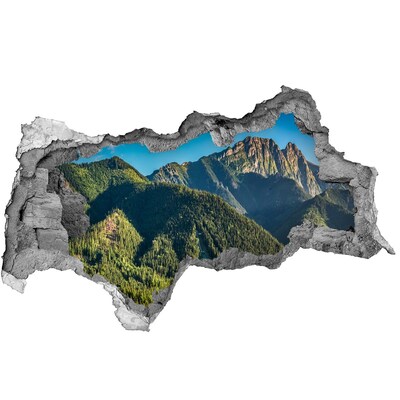 Hole in the wall decal Mountain landscape with a valley