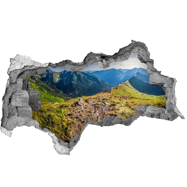 Hole in the wall decal Mountain landscape through a hole in the wall