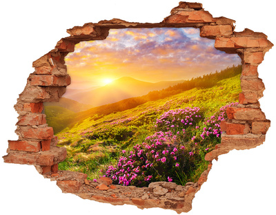Hole wall sticker Mountain landscape at sunset