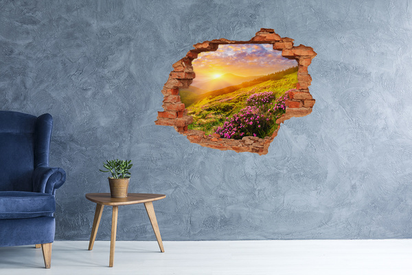 Hole wall sticker Mountain landscape at sunset