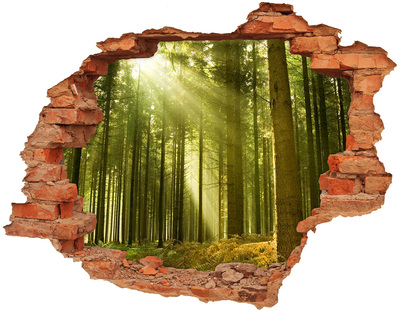 Hole wall sticker Green forest in the morning
