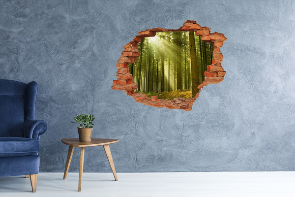 Hole wall sticker Green forest in the morning