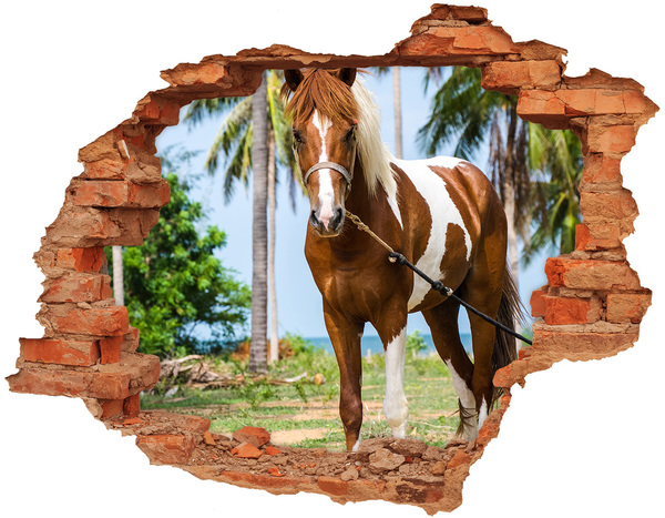 Hole wall sticker A horse in the tropics