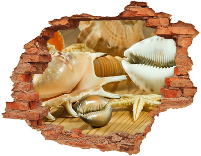 Hole in the wall decal Shells on wood