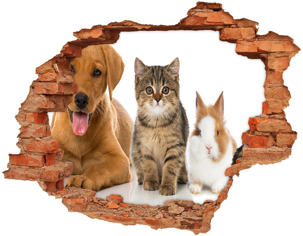 3D wall hole Dog and cat