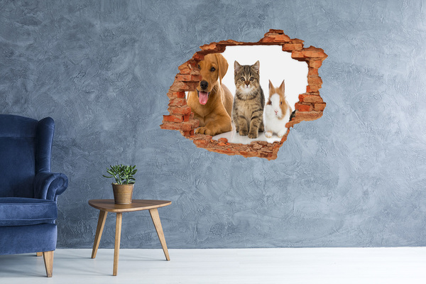 3D wall hole Dog and cat