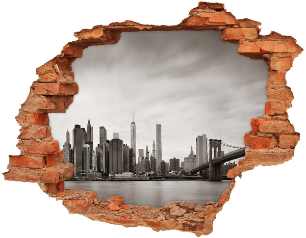 Hole wall sticker View of New York