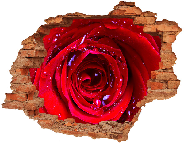 Hole wall sticker Rose flower