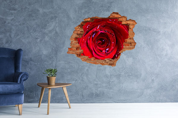 Hole wall sticker Floral illusion in concrete