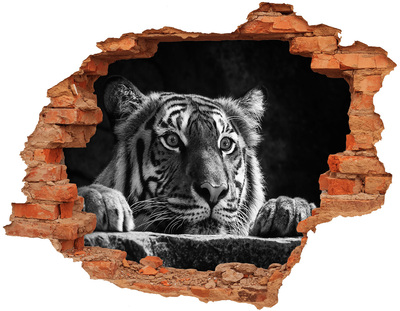 Hole wall sticker Tiger