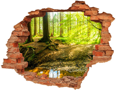 3D wall hole wallpaper Rays of the sun forest