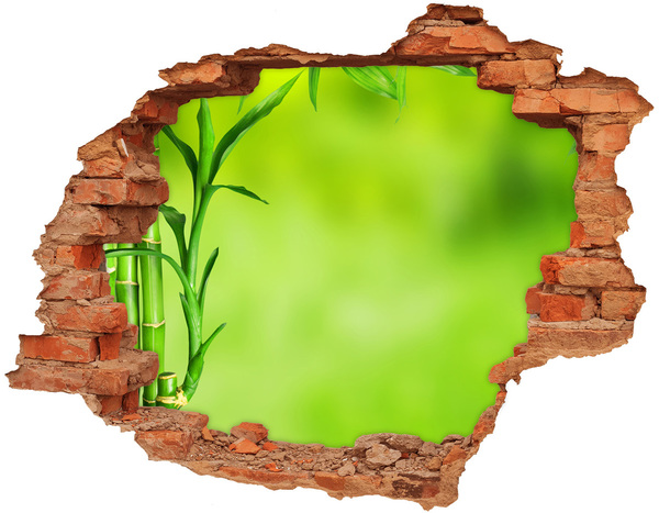 Hole in the wall decal Bamboo