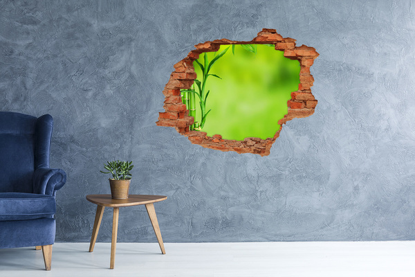 Hole in the wall decal A green oasis behind the wall