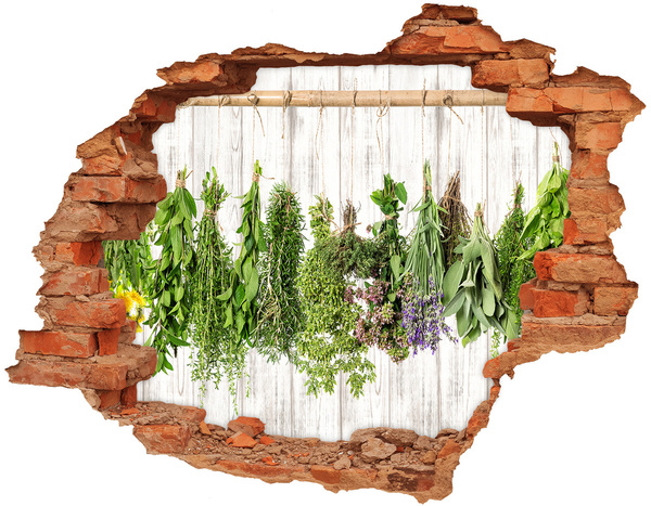 Hole in the wall sticker Herb garden in ruins