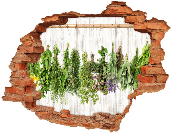 Hole in the wall sticker Herbs on a string