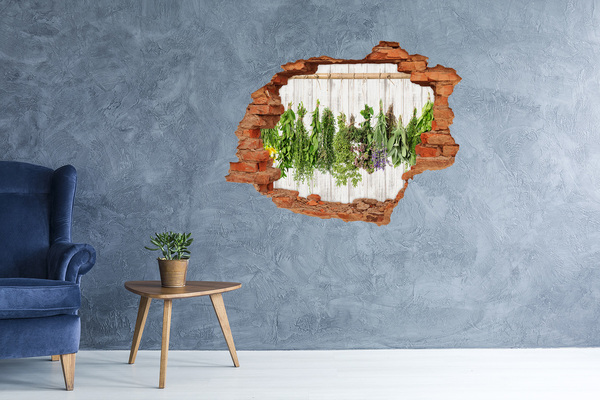 Hole in the wall sticker Herbs on a string