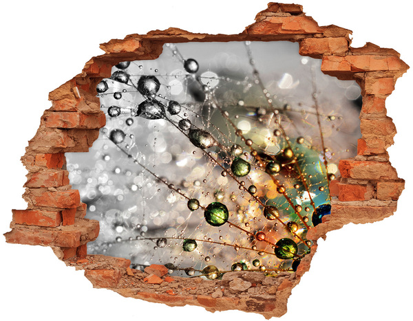 Hole in the wall sticker Crystal structure in light