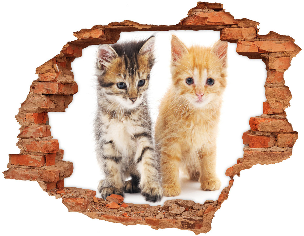 Hole in the wall sticker Brown and red cat