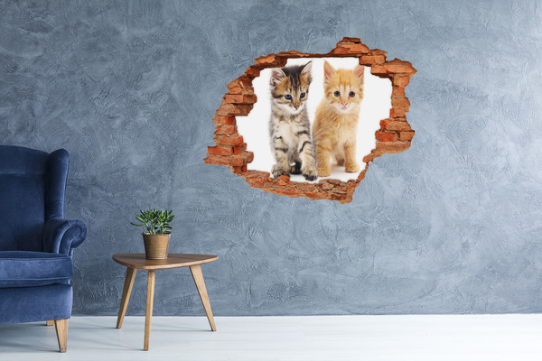 Hole in the wall sticker Brown and red cat