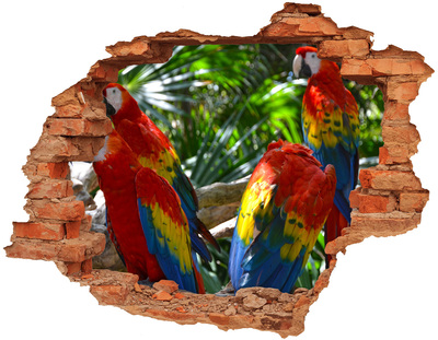 3D wall hole wallpaper Tropical parrots in the jungle
