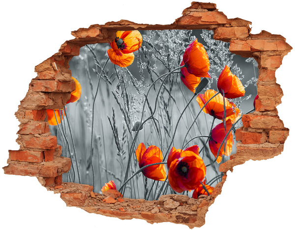 3D wall hole wallpaper Field poppies