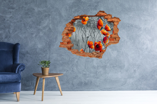 3D wall hole wallpaper Field poppies