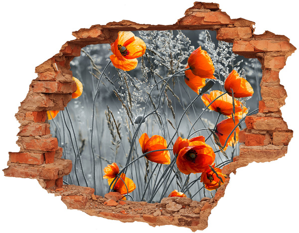 3D wall hole wallpaper Field poppies