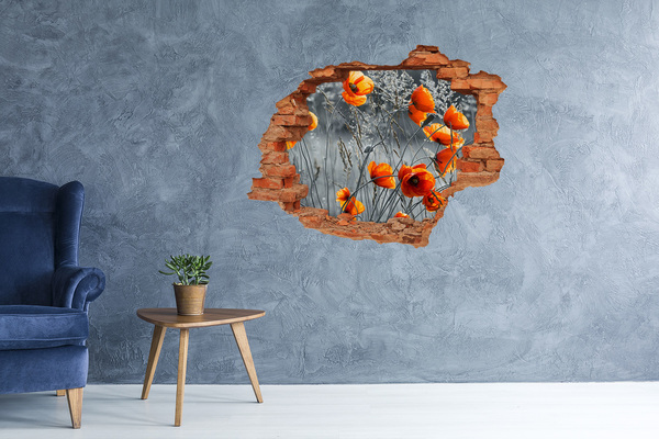 3D wall hole wallpaper Field poppies