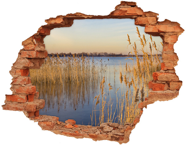 Hole in the wall sticker Bay with reeds