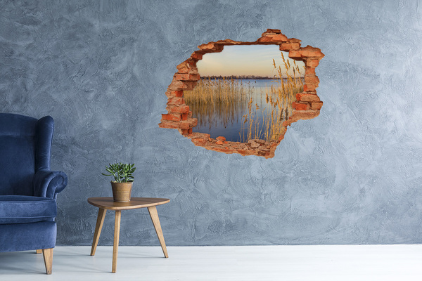 Hole in the wall sticker Bay with reeds
