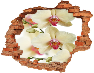 Hole wall sticker Orchids in a broken wall