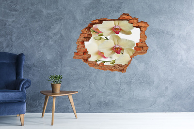 Hole wall sticker Orchid