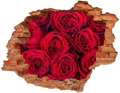 Hole wall sticker Roses