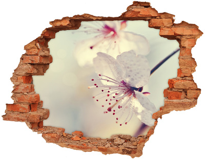Hole wall sticker A floral dream behind the wall