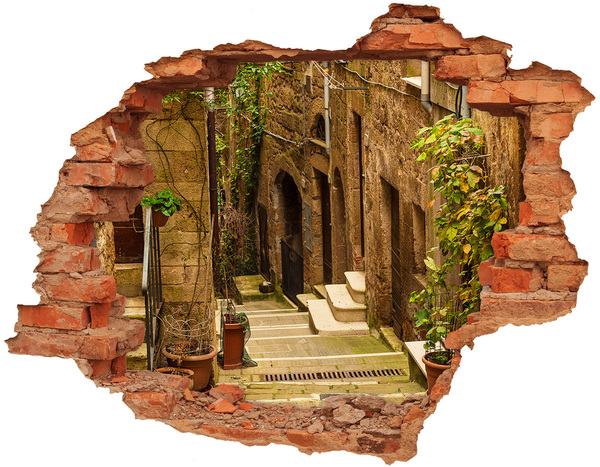 3D wall hole A charming street in the town
