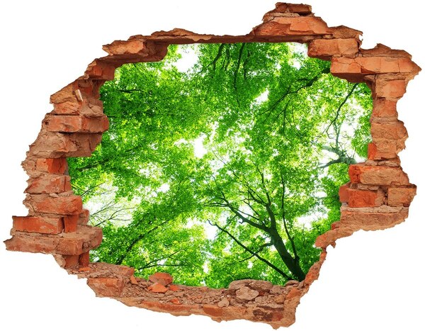 Hole in the wall decal Green Forest in a Hole in the Wall