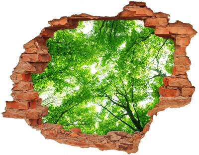 Hole in the wall decal Green Forest