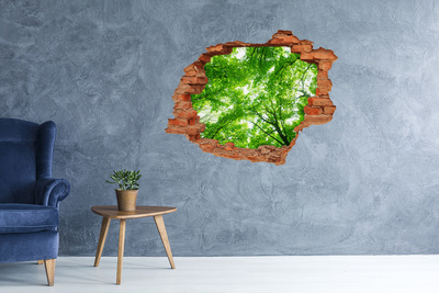 Hole in the wall decal Green Forest