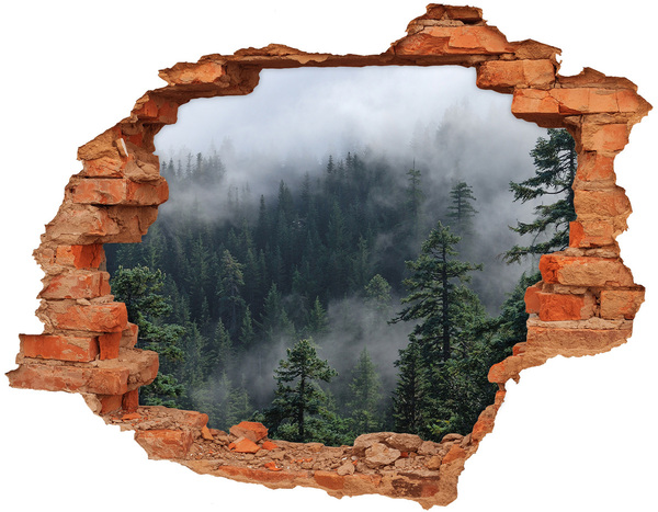 Hole in the wall sticker Green forest in the clouds