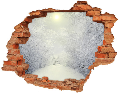 Hole in the wall decal Winter landscape behind the wall