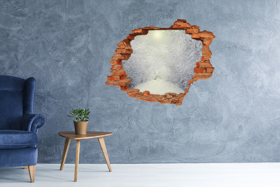 Hole in the wall decal Winter landscape behind the wall