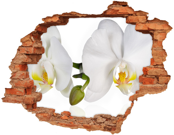 Hole in the wall sticker Orchid flowers in concrete