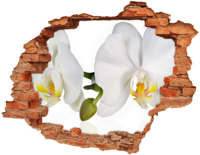 Hole in the wall sticker Orchid flowers in concrete