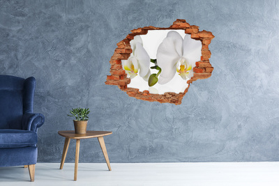 Hole in the wall sticker Orchid flowers in concrete