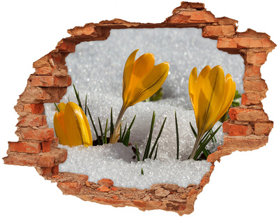 3D wall hole wallpaper Spring Flowers in the Snow