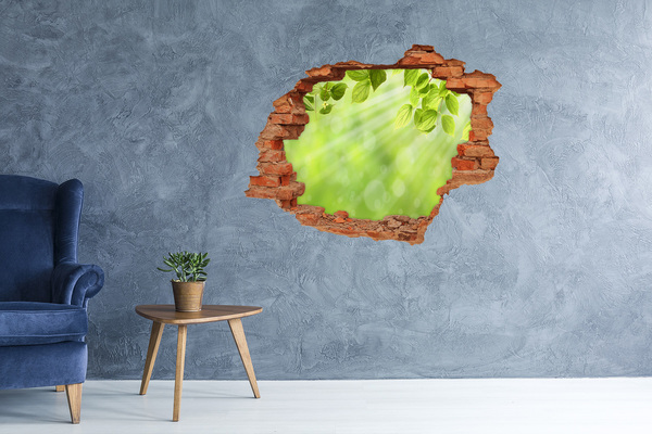 Hole in the wall sticker Leaves